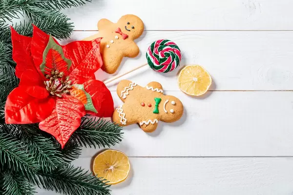 Gingerbread men on stick, a popsicle, and orange slices with christmas tree branches on white background