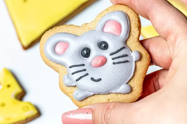 Gingerbread mouse in a female hand (Flip 2020)