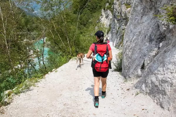 Girl and dog walking near Soča river in Slovenia