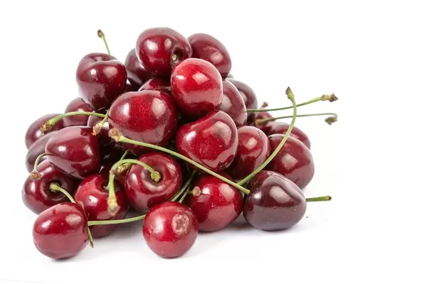 Glänzende, frische Kirschen mit Stengel liegen auf einem Haufen auf einer weißen Oberfläche