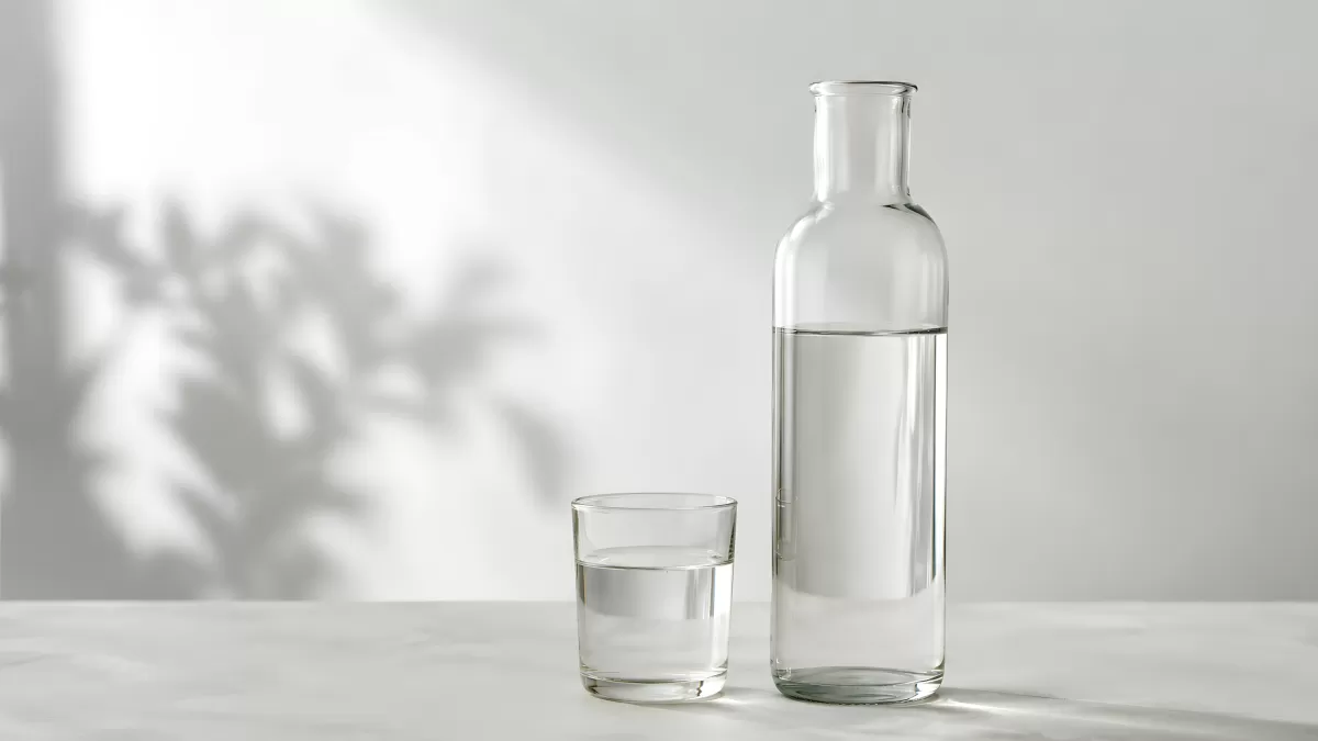 Glaskaraffe und Trinkglas mit klarem Wasser