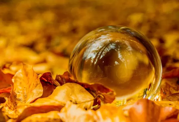 Glass ball laying on the ground in forest