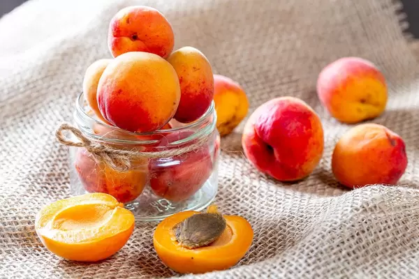 Glass jar with apricots on burlap background