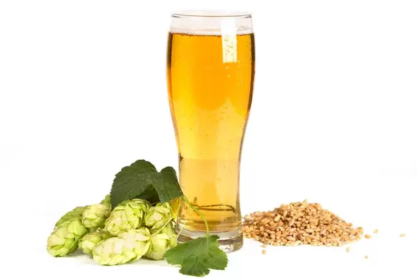 Glass of light beer with ingredients. Oktoberfest background