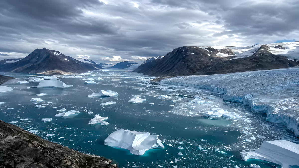 Gletscher kalbt ins arktische Fjordwasser Grönland