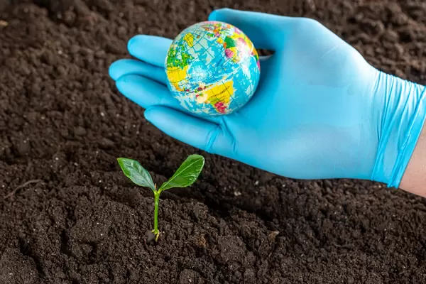 Globe on a gloved hand and a sprout in the ground