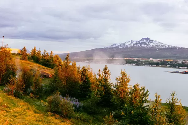 Glowing trees across the river from Akureyri / Glühende Bäume über dem Fluss von Akureyri