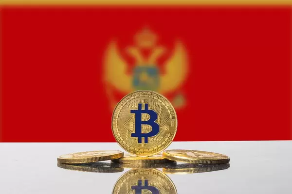Golden Bitcoin and flag of Montenegro