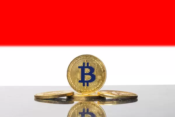 Golden Bitcoin and flag of Poland