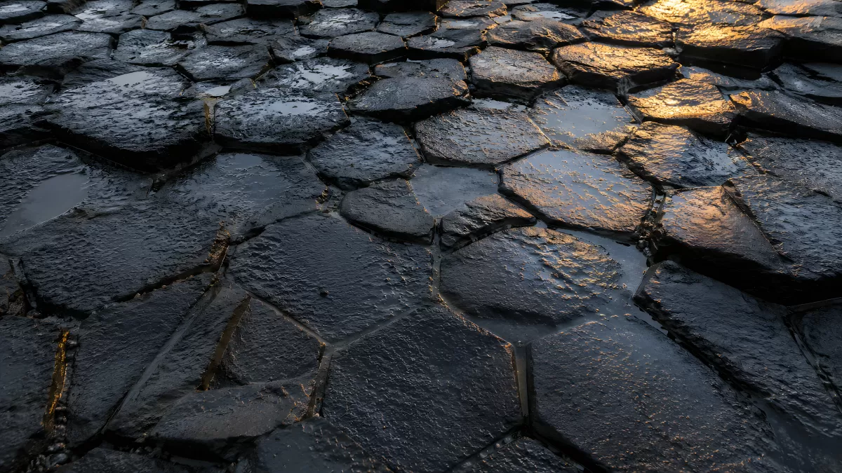 Goldenes Abendlicht auf nassen Basaltsäulen
