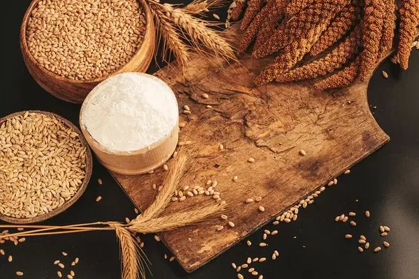 Grains and spikelets of millet, wheat, barley and wheat flour