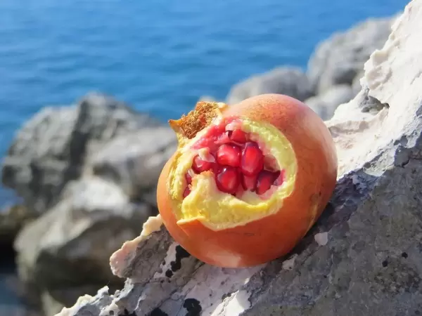 Granatapfel mit Granatapfelkernen