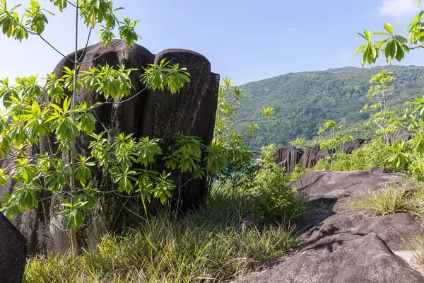 Granit stone formation at Ros Lepa in Mahé in front of Morne Seychellois Nationalpark