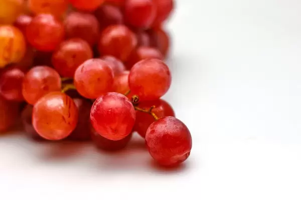 Grapes Closeup on a White Background