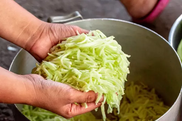Grated young zucchini in women's hands