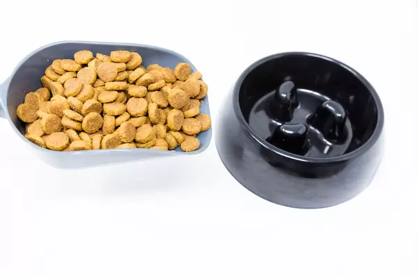 Graue Futterschaufel mit Kroketten für den Hund und schwarzer Fressnapf