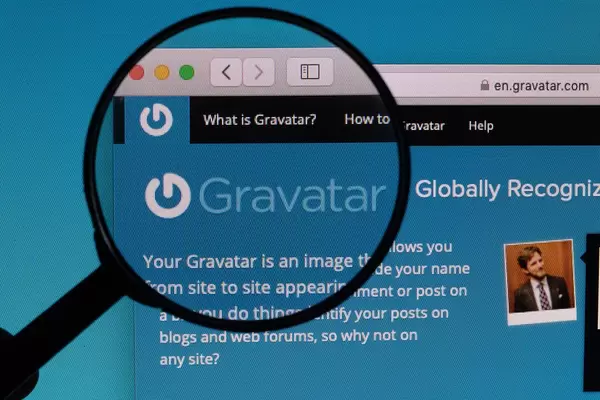Gravatar logo under magnifying glass