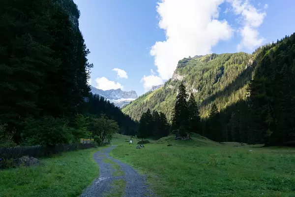 Gravel road leading into Swiss wilderness