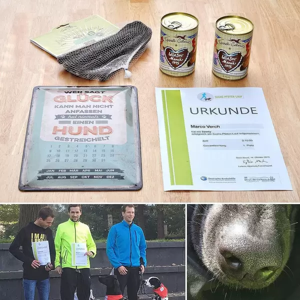 Great day with my puppy. Three weeks after @berlinmarathon my lab and I finished in first place in a dog-human-race. ??? So happy. 3km in 10:09min. Now preparing for @frankfurtmarathon relay and in November I'm going to start my training