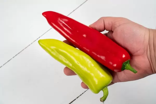 Green and Red Paprikas in the hand above white wooden table (Flip 2020)