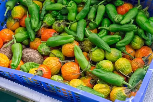 Green and reed paprika at Timeout Market in Lisbon