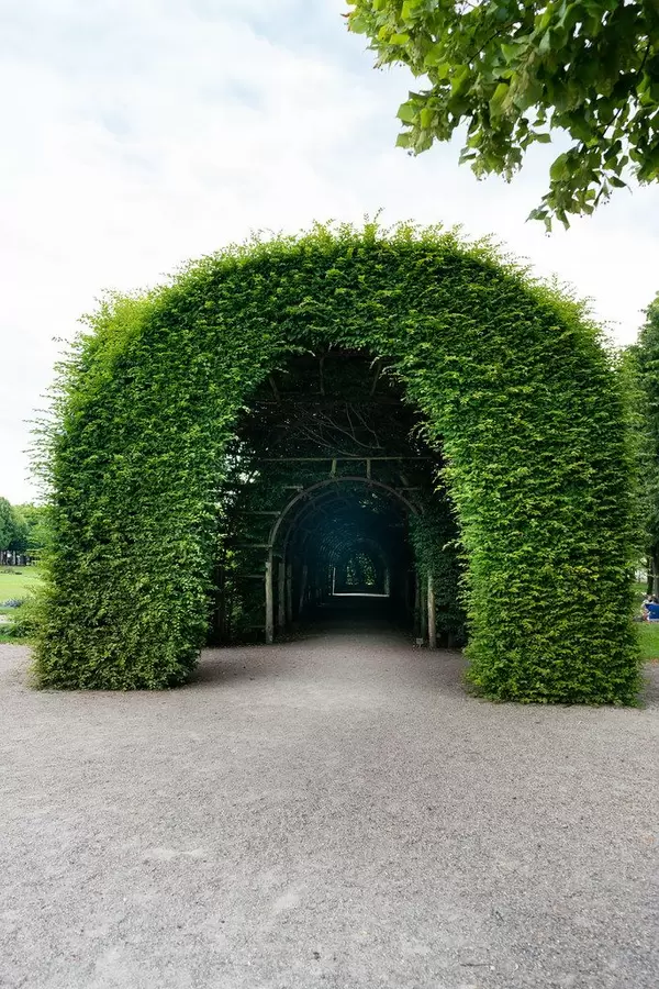 Green arch entrance to the passage made of greenery