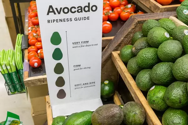 Green avocados next to a ripeness guide to determine degree of ripeness at Whole Foods Market