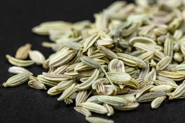 Green fennel seeds on black background, close up (Flip 2020)