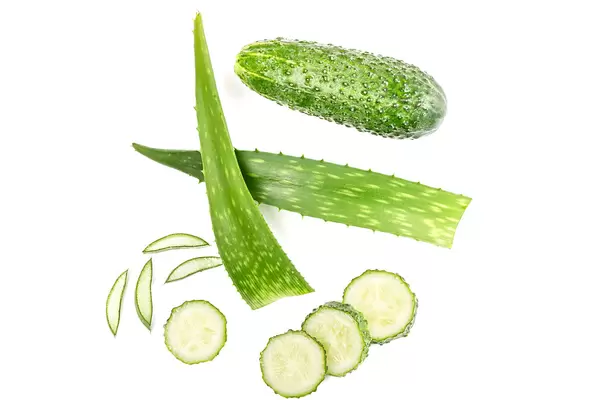 Green fresh aloe vera leaf with cucumber on white background