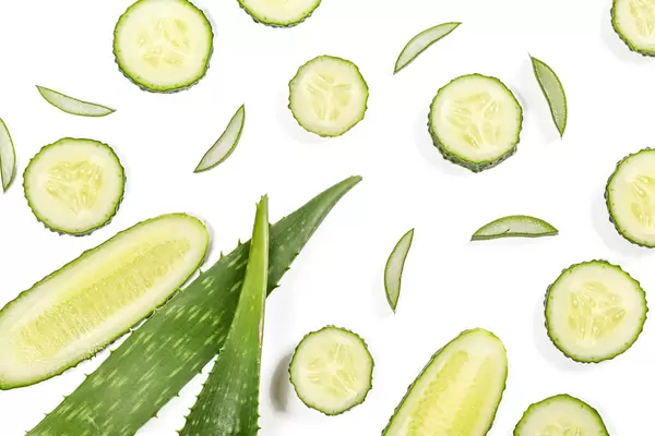 Green fresh aloe vera leaf with sliced and cucumber on white