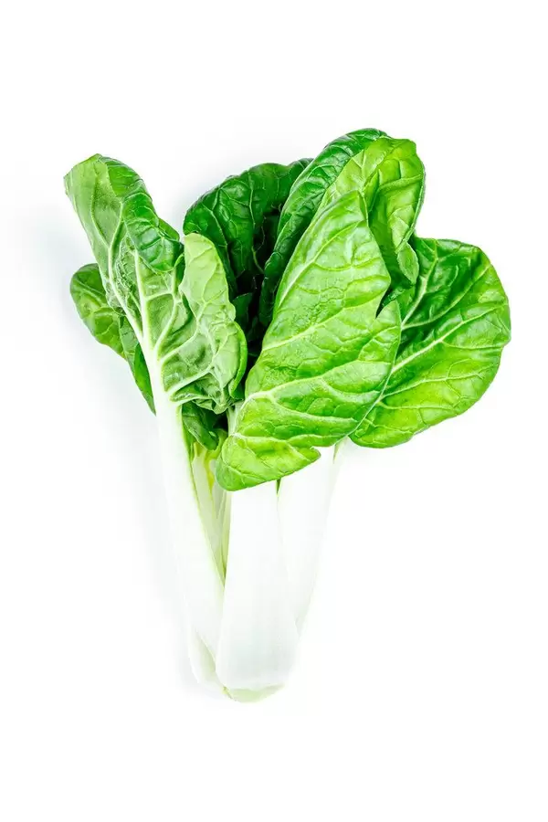 Green fresh cabbage pak choi baby (Flip 2020)