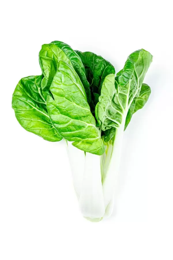 Green fresh cabbage pak choi baby
