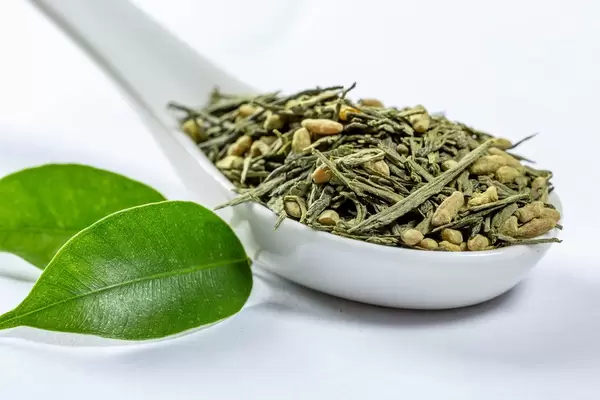Green leaf tea with granules on a white ceramic spoon with fresh leaves