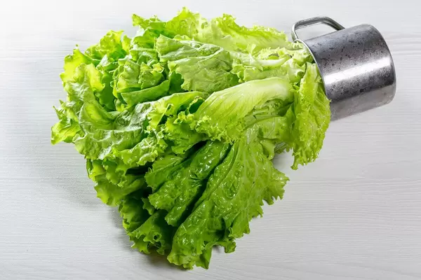 Green lettuce in iron mug on white wooden background