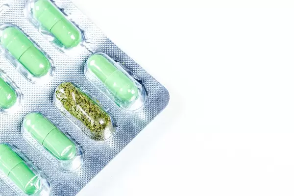 Green medical capsules in a blister, in one cell dried medicinal herb (Flip 2019)