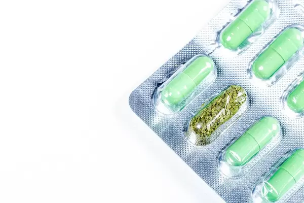 Green medical capsules in a blister, in one cell dried medicinal herb