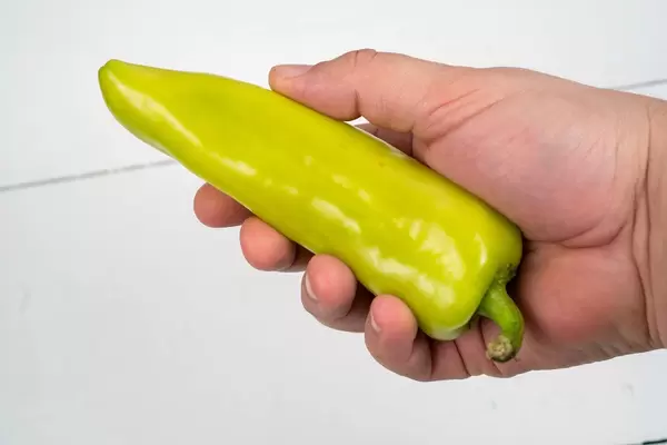 Green Paprika in the hand above white wooden table (Flip 2020)