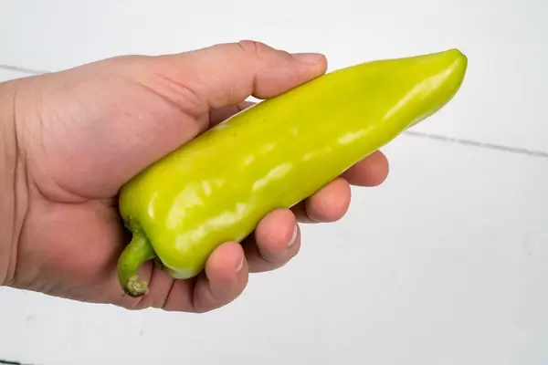 Green Paprika in the hand above white wooden table