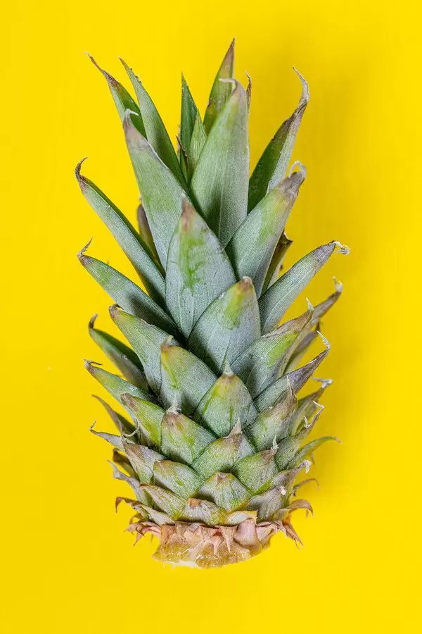 Green pineapple leaves on yellow background (Flip 2019)