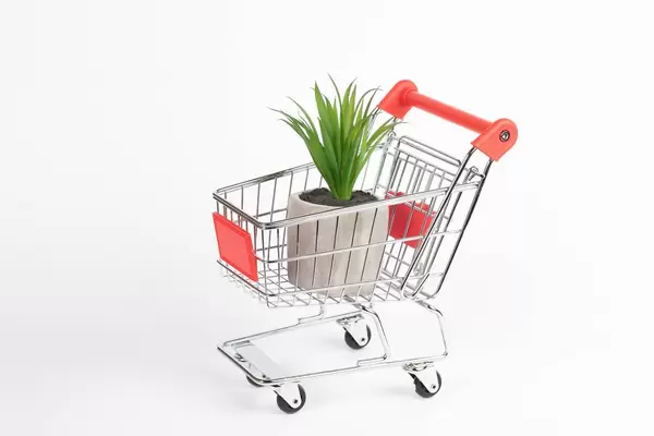 Green plant in shopping cart