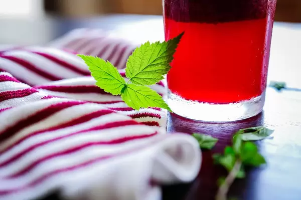 Green raspberry leaves beside refreshment