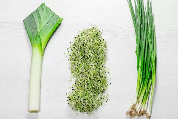 Green young onion, leek and micro green onion. The view from the top (Flip 2019)