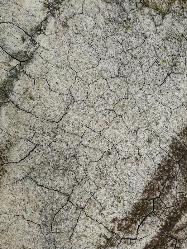 Grey Patterns Of Old Cracked Floor.jpg