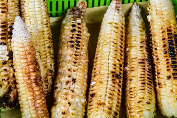 Grilled corn on green container (Flip 2019)