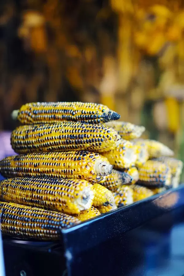 Grilled corns, street food fair (Flip 2019)