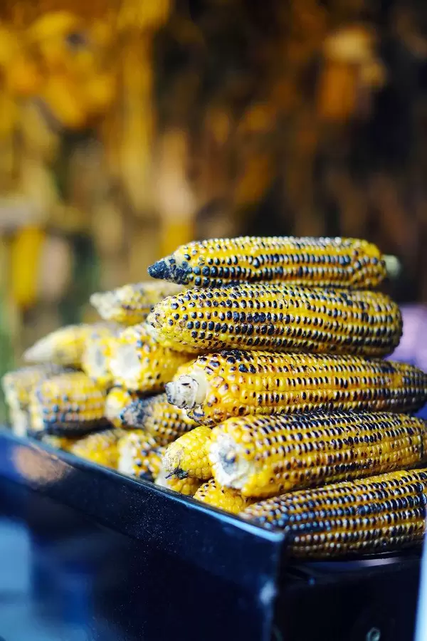 Grilled corns, street food fair