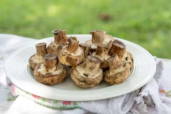 Grilled Mushrooms served on the plate (Flip 2019)