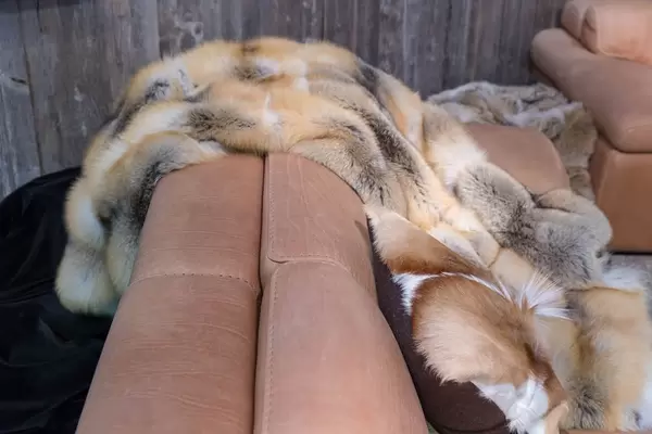 Große Pelze für den Innenraum - Boot Düsseldorf 2018