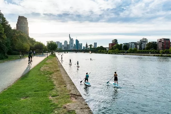 Group of SUPs on river Main heading towards the skyscrapers of Frankfurt