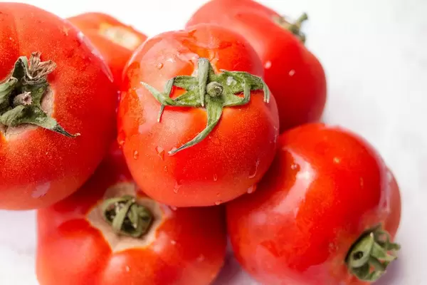Group of tomatoes on white background